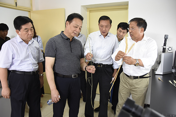 河南省人大常委会委员夏林莅校检查工作