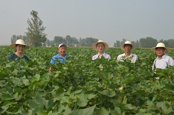中国农科院棉花研究所专家来我校考察指导工作