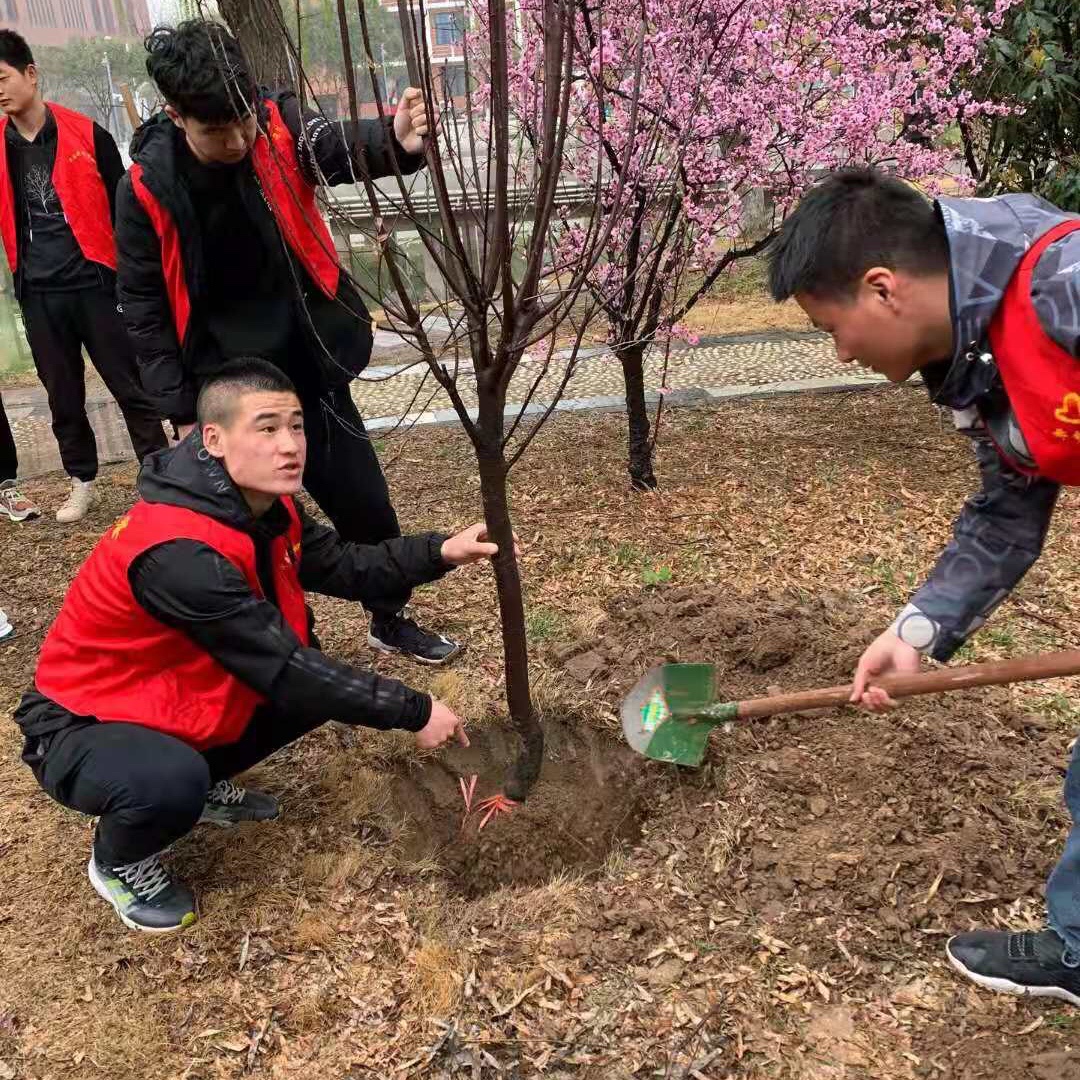 东南大学举行“打造绿色生态校园，创建美丽和谐东大”校园植树活动