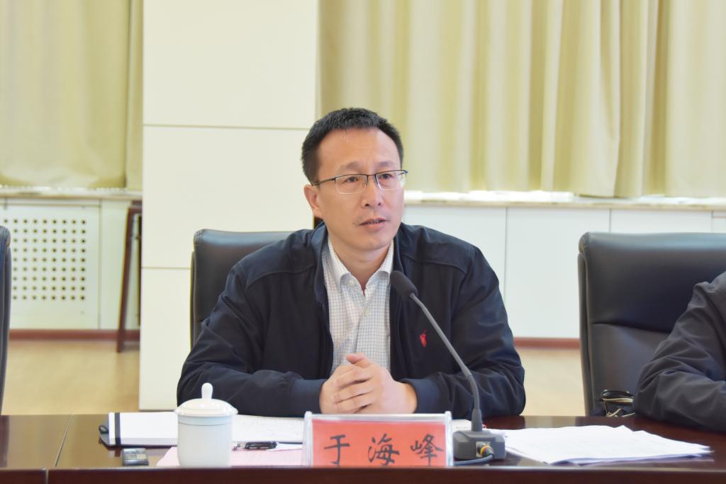 专家组组长于海锋听取汇报等