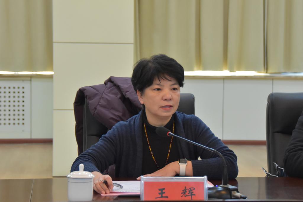 专家组组长王辉讲话